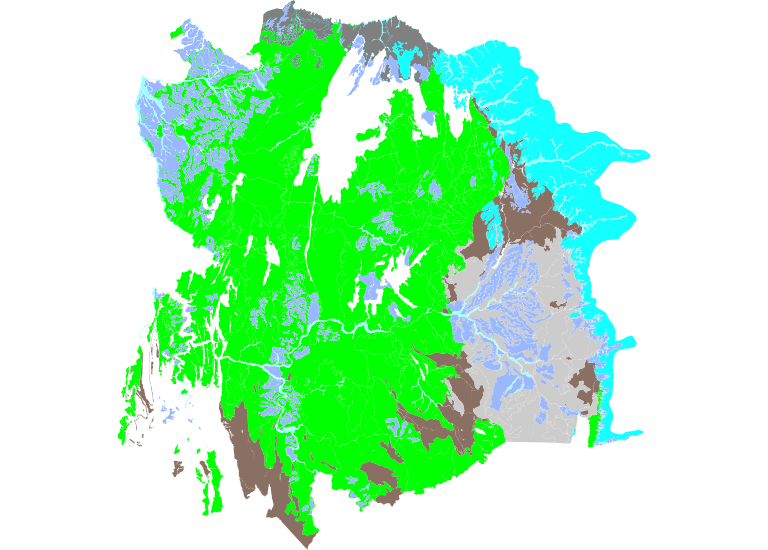 overview